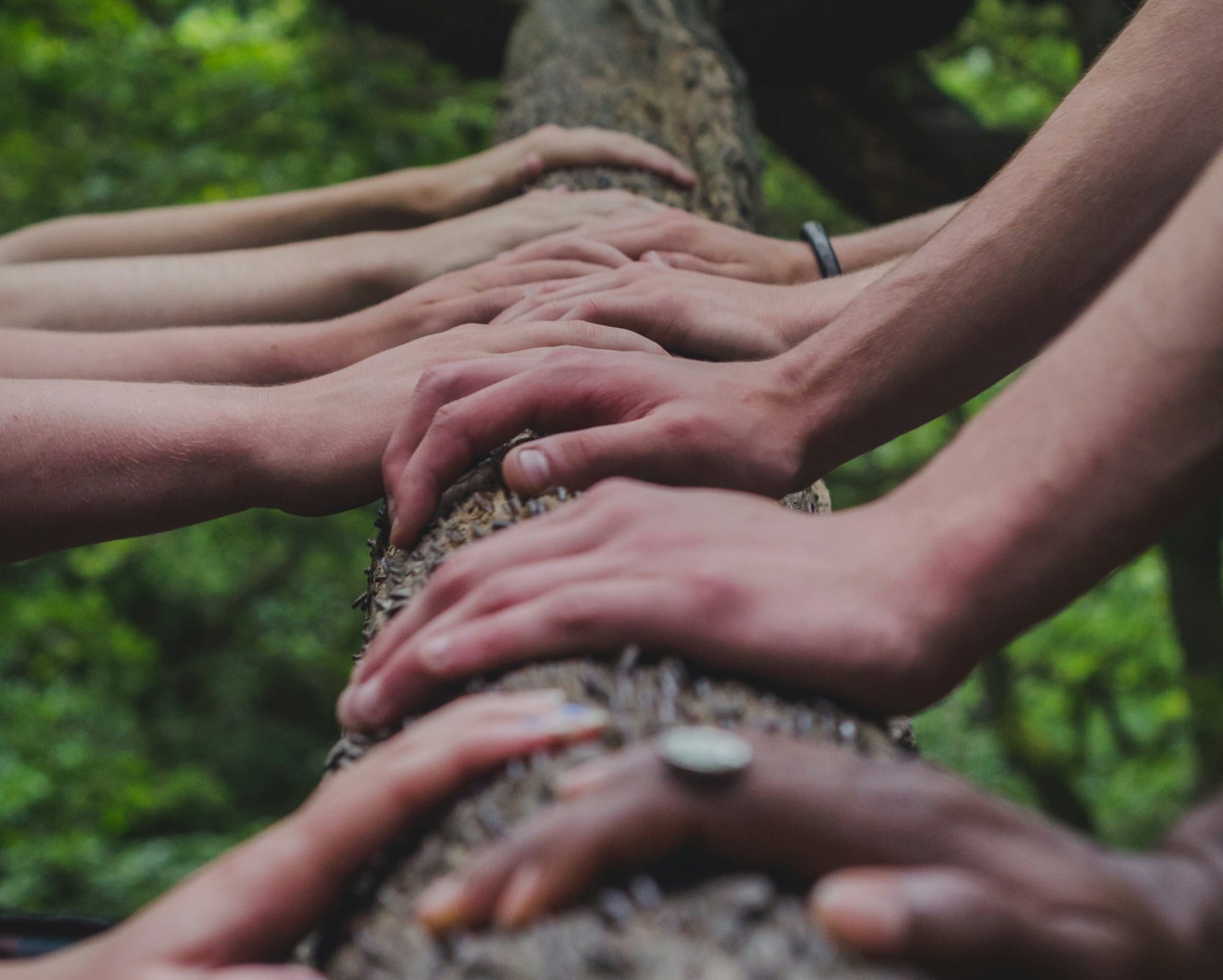 a group of people holding hands on top of a tree