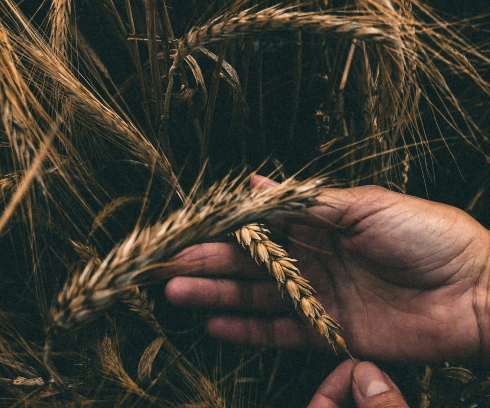person holding brown rope during nighttime